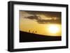 Vietnam. Nam Cuong dunes at Nha Trang, Cham People on their way to work.-Tom Norring-Framed Photographic Print