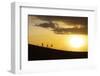 Vietnam. Nam Cuong dunes at Nha Trang, Cham People on their way to work.-Tom Norring-Framed Photographic Print