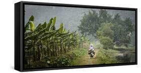 Vietnam, Ninh Binh. Woman on Bicycle Riding Away on Path-Matt Freedman-Framed Stretched Canvas
