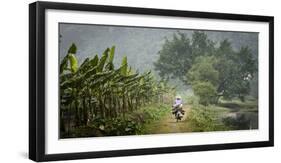 Vietnam, Ninh Binh. Woman on Bicycle Riding Away on Path-Matt Freedman-Framed Photographic Print