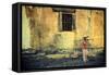 Vietnam, Quang Nam, Hoi an Old Town (Unesco Site)-Michele Falzone-Framed Stretched Canvas