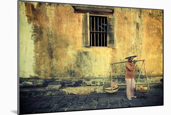 Vietnam, Quang Nam, Hoi an Old Town (Unesco Site)-Michele Falzone-Mounted Photographic Print