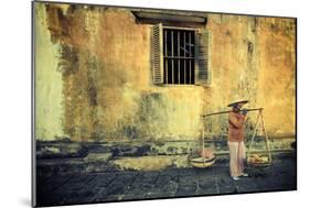 Vietnam, Quang Nam, Hoi an Old Town (Unesco Site)-Michele Falzone-Mounted Photographic Print