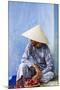 Vietnam, Quang Nam Province-Nigel Pavitt-Mounted Photographic Print