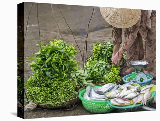 Vietnam, Quang Nam Province-Nigel Pavitt-Stretched Canvas