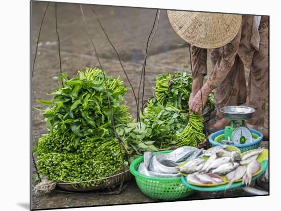 Vietnam, Quang Nam Province-Nigel Pavitt-Mounted Photographic Print