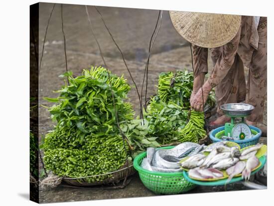 Vietnam, Quang Nam Province-Nigel Pavitt-Stretched Canvas