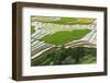 Vietnam . Rice paddies in the highlands of Sapa.-Tom Norring-Framed Photographic Print