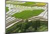 Vietnam . Rice paddies in the highlands of Sapa.-Tom Norring-Mounted Photographic Print