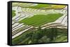 Vietnam . Rice paddies in the highlands of Sapa.-Tom Norring-Framed Stretched Canvas