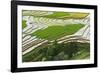 Vietnam . Rice paddies in the highlands of Sapa.-Tom Norring-Framed Photographic Print