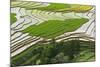 Vietnam . Rice paddies in the highlands of Sapa.-Tom Norring-Mounted Photographic Print