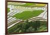 Vietnam . Rice paddies in the highlands of Sapa.-Tom Norring-Framed Photographic Print