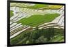 Vietnam . Rice paddies in the highlands of Sapa.-Tom Norring-Framed Photographic Print