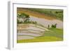 Vietnam . Rice paddies in the highlands of Sapa.-Tom Norring-Framed Photographic Print