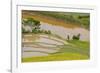 Vietnam . Rice paddies in the highlands of Sapa.-Tom Norring-Framed Photographic Print