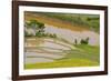 Vietnam . Rice paddies in the highlands of Sapa.-Tom Norring-Framed Photographic Print