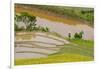 Vietnam . Rice paddies in the highlands of Sapa.-Tom Norring-Framed Photographic Print