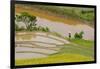 Vietnam . Rice paddies in the highlands of Sapa.-Tom Norring-Framed Photographic Print