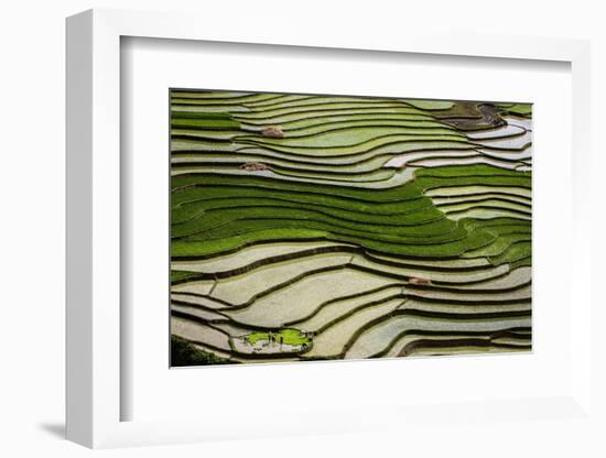 Vietnam . Rice paddies in the highlands of Sapa.-Tom Norring-Framed Photographic Print