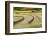 Vietnam . Rice paddies in the highlands of Sapa.-Tom Norring-Framed Photographic Print