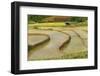 Vietnam . Rice paddies in the highlands of Sapa.-Tom Norring-Framed Photographic Print