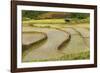 Vietnam . Rice paddies in the highlands of Sapa.-Tom Norring-Framed Photographic Print