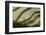 Vietnam . Rice paddies in the highlands of Sapa.-Tom Norring-Framed Photographic Print