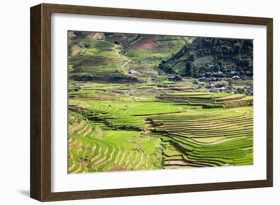 Vietnam . Rice paddies in the highlands of Sapa.-Tom Norring-Framed Photographic Print