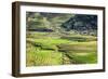 Vietnam . Rice paddies in the highlands of Sapa.-Tom Norring-Framed Photographic Print