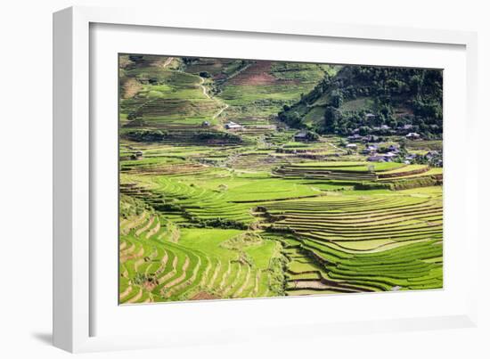 Vietnam . Rice paddies in the highlands of Sapa.-Tom Norring-Framed Photographic Print