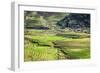 Vietnam . Rice paddies in the highlands of Sapa.-Tom Norring-Framed Photographic Print