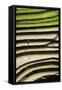 Vietnam . Rice paddies in the highlands of Sapa.-Tom Norring-Framed Stretched Canvas