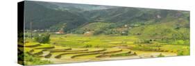 Vietnam . Rice paddies in the highlands of Sapa.-Tom Norring-Stretched Canvas