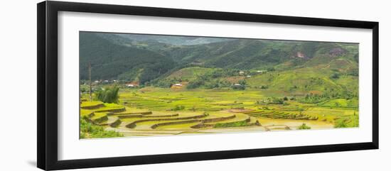 Vietnam . Rice paddies in the highlands of Sapa.-Tom Norring-Framed Photographic Print