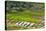 Vietnam . Rice paddies in the highlands of Sapa.-Tom Norring-Stretched Canvas