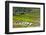 Vietnam . Rice paddies in the highlands of Sapa.-Tom Norring-Framed Photographic Print