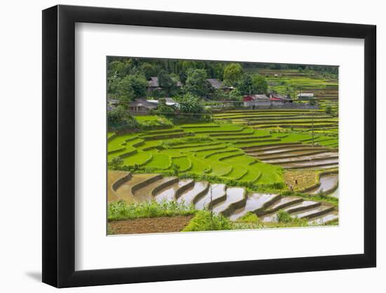 Vietnam . Rice paddies in the highlands of Sapa.-Tom Norring-Framed Photographic Print