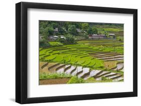 Vietnam . Rice paddies in the highlands of Sapa.-Tom Norring-Framed Photographic Print