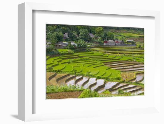 Vietnam . Rice paddies in the highlands of Sapa.-Tom Norring-Framed Photographic Print