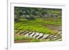 Vietnam . Rice paddies in the highlands of Sapa.-Tom Norring-Framed Photographic Print