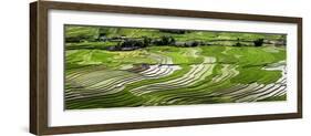 Vietnam . Rice paddies in the highlands of Sapa.-Tom Norring-Framed Photographic Print