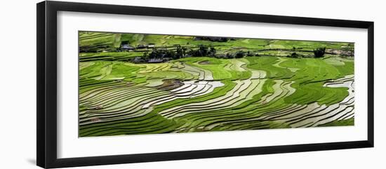 Vietnam . Rice paddies in the highlands of Sapa.-Tom Norring-Framed Photographic Print