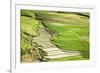 Vietnam . Rice paddies in the highlands of Sapa.-Tom Norring-Framed Photographic Print