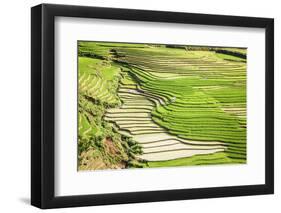 Vietnam . Rice paddies in the highlands of Sapa.-Tom Norring-Framed Photographic Print