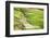 Vietnam . Rice paddies in the highlands of Sapa.-Tom Norring-Framed Photographic Print