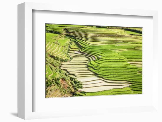 Vietnam . Rice paddies in the highlands of Sapa.-Tom Norring-Framed Photographic Print