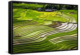 Vietnam . Rice paddies in the highlands of Sapa.-Tom Norring-Framed Stretched Canvas