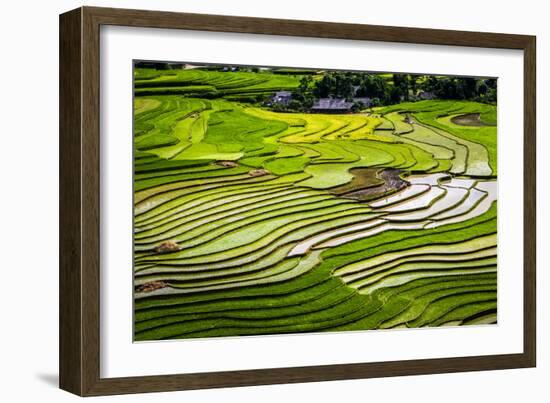 Vietnam . Rice paddies in the highlands of Sapa.-Tom Norring-Framed Photographic Print