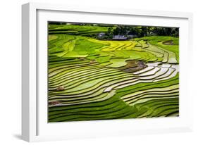 Vietnam . Rice paddies in the highlands of Sapa.-Tom Norring-Framed Photographic Print